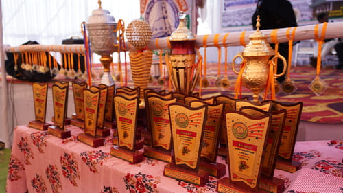 Annual Function 2024-25